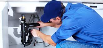 Best Plumbing System Maintenance  in Moreauville, LA